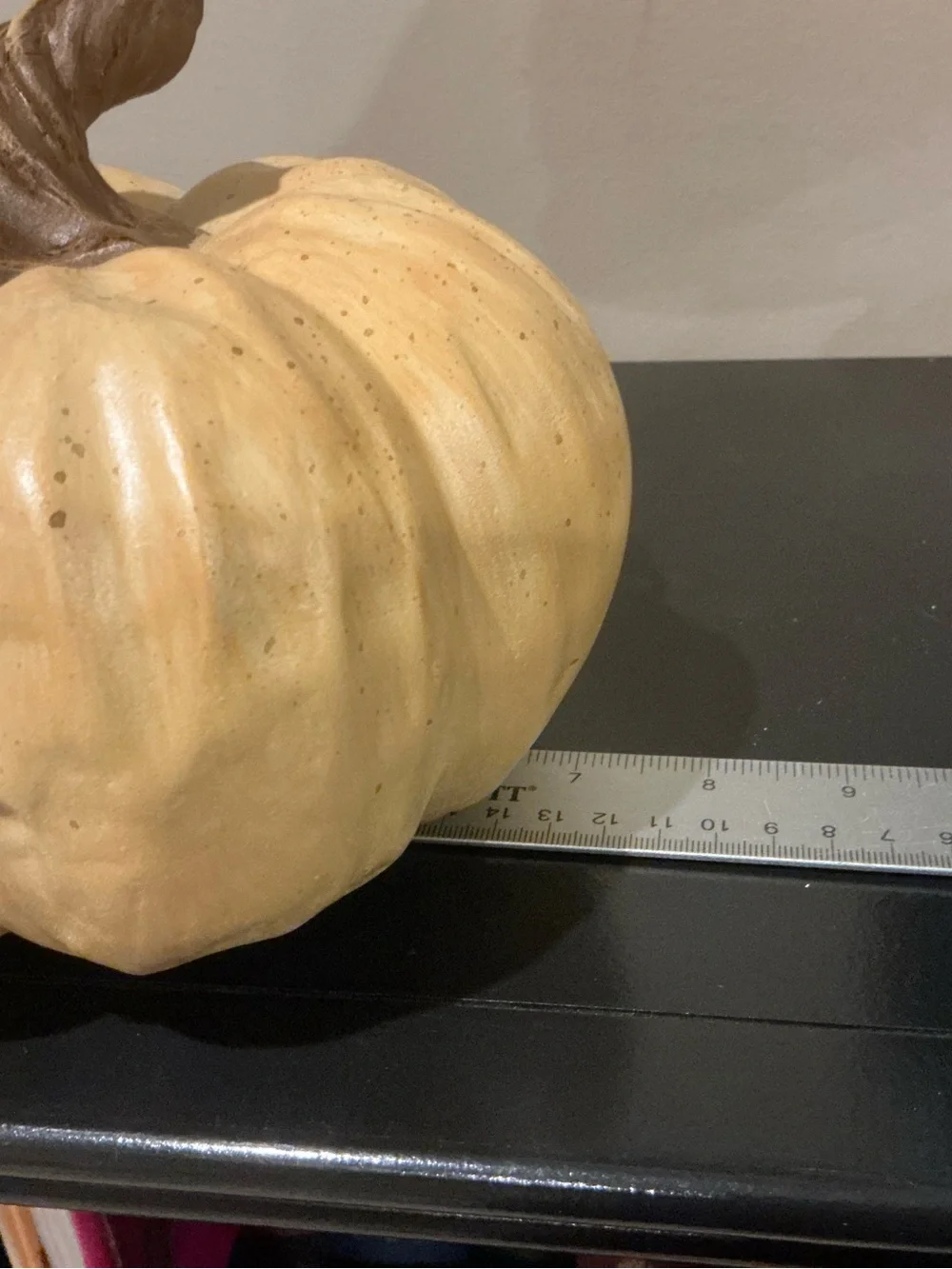 Set/4 Assorted Indoor/Outdoor Autumn Pumpkins 🍂